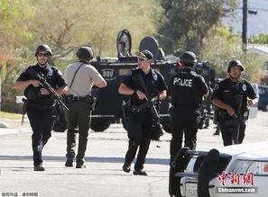 加州警察在线观看,揭秘警界风云